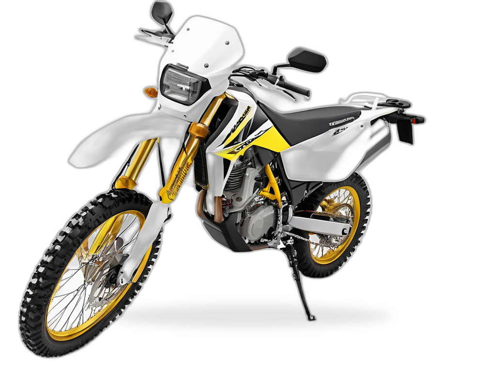 DR-Z400S