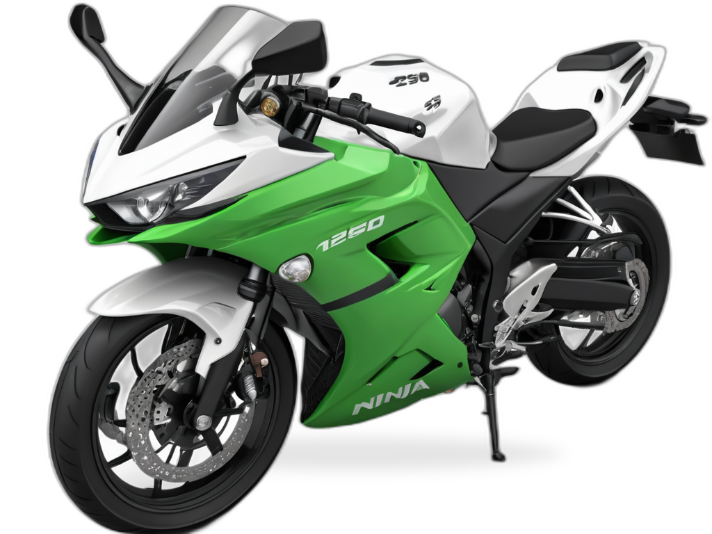 Kawasaki Ninja 250 のイメージ画像