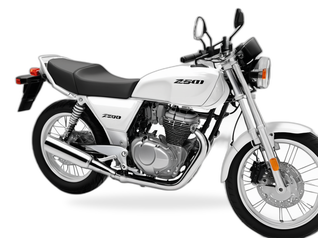 Z250